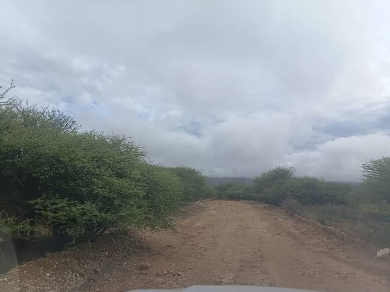 5 HECTARES FARM STYLE PLOT FOR SALE- FARM NARUXHAS - Photo 3