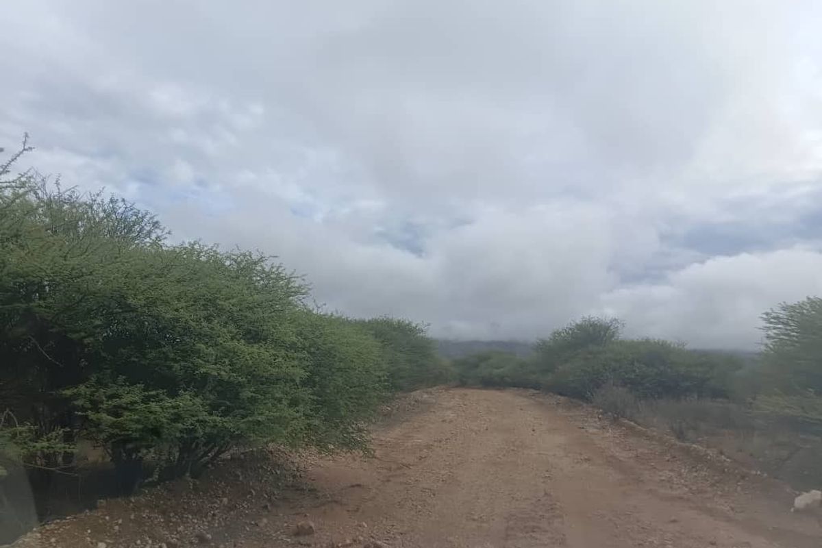 5 HECTARES FARM STYLE PLOT FOR SALE- FARM NARUXHAS - Photo 3