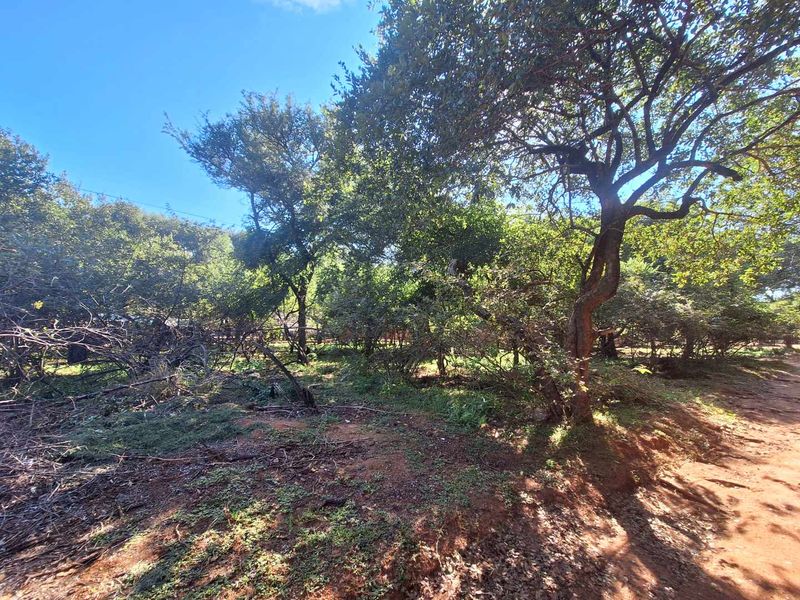 Prime 800m2 Plot in Leeupoort - Tranquil Retreat - Photo 3