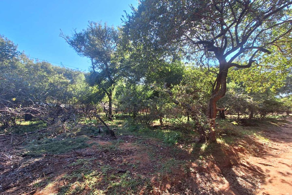 Prime 800m2 Plot in Leeupoort - Tranquil Retreat - Photo 3