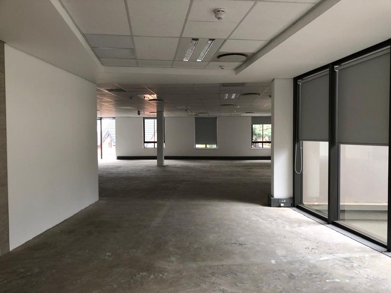 Spacious open-plan office area featuring a suspended ceiling, recessed lighting, and large windows with roller blinds, currently presented as a blank canvas.