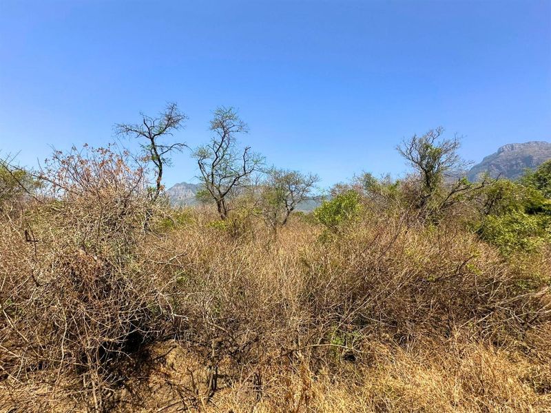 Vacant Stand with Mountain views - Photo 2