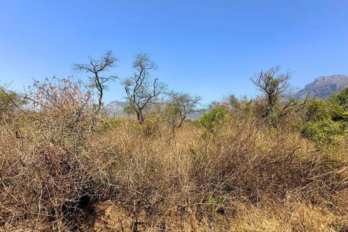 Vacant Stand with Mountain views - Photo 2