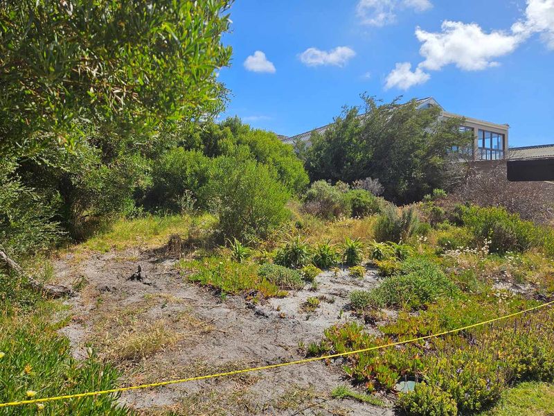 600m2 Vacant Land for Sale in Pringle Bay - Photo 6