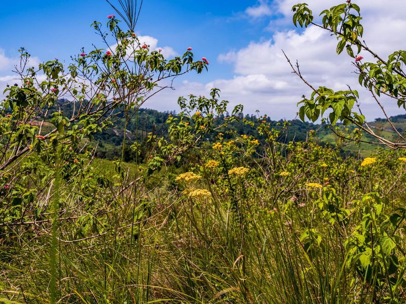 A scenic view of the natural landscape and rolling hills, showcasing the undeveloped terrain of the residential land.