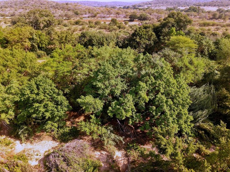 An aerial view of a vacant residential plot featuring dense mature trees and natural vegetation.