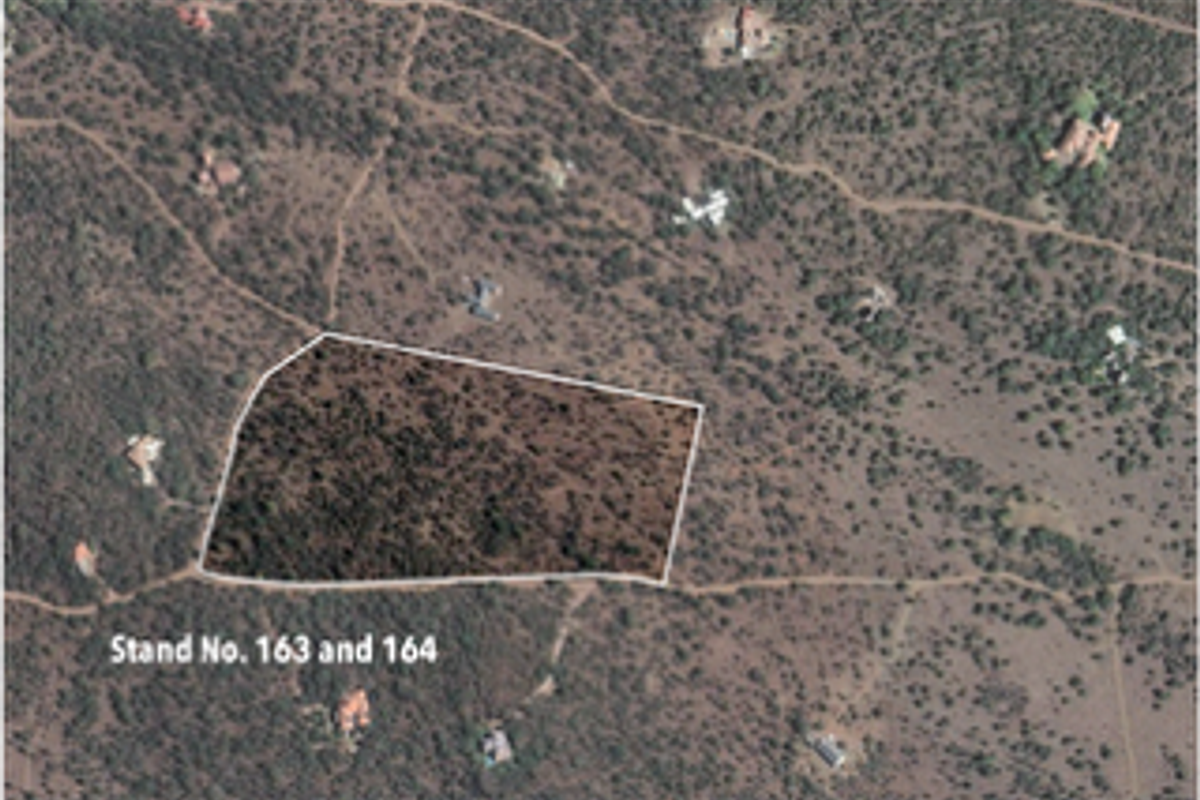 Aerial view of vacant residential stands 163 and 164, featuring natural bushveld vegetation and surrounding estate development.
