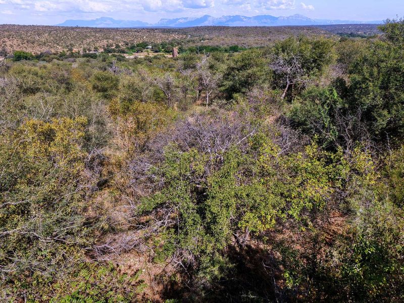 Beautiful Bushveld Views in Elephant Rock Eco Estate - Photo 4