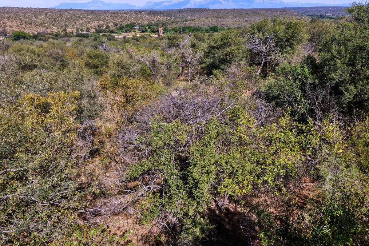 Beautiful Bushveld Views in Elephant Rock Eco Estate - Photo 4