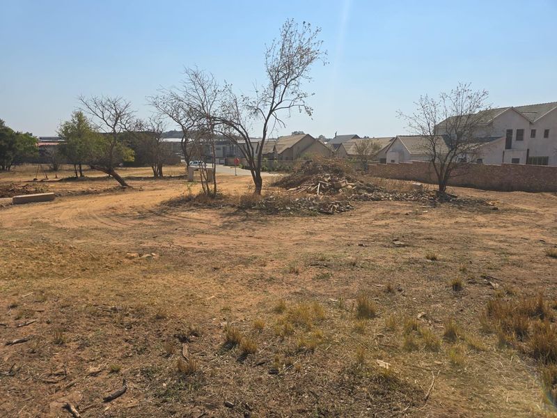 A vacant residential plot featuring natural vegetation, mature trees, and a boundary wall, offering a clear space for future development.