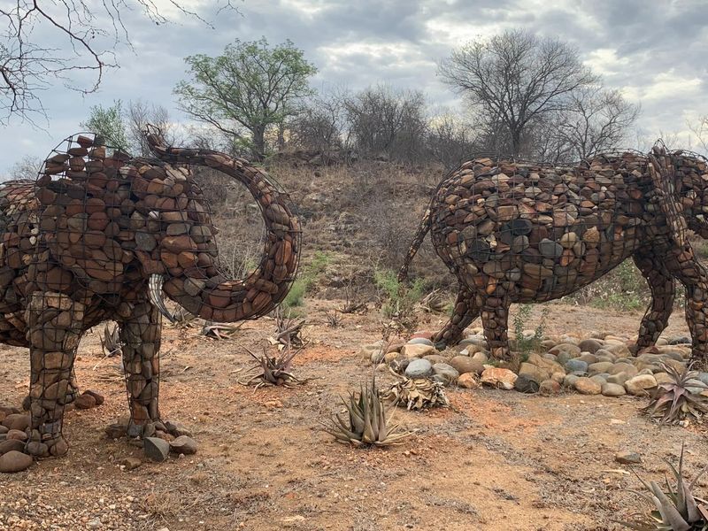 Rare vacant riverside stand in Elephant Rock Eco Estate - Photo 3