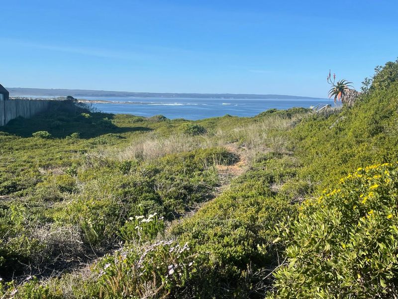 Bosbokduin Oasis - Photo 5