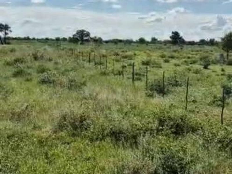 Farm For Sale - Photo 6