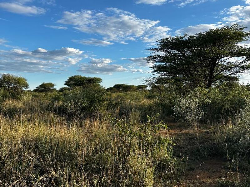 Hochfeld- Farmland For Sale - Photo 8