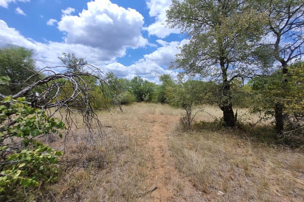 A view of a vacant residential plot featuring natural vegetation, native trees, and a dirt path under a bright, cloudy sky.
