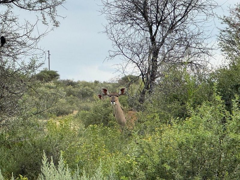 Game Lodge & Wilderness Estate | 3,000ha | 90km from Windhoek | 60km from,  Hosea Kutako International Airport - Photo 6