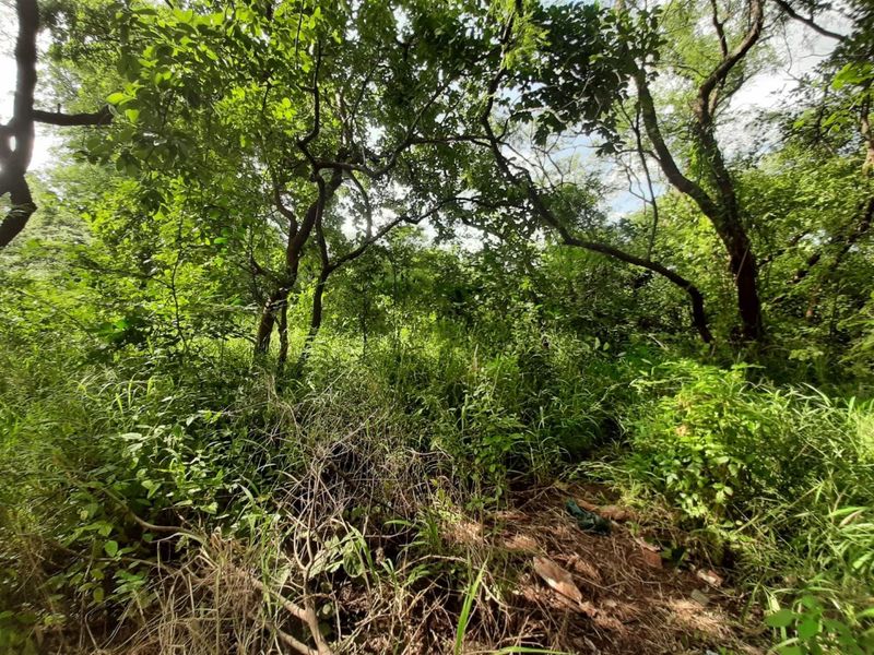 Stand for sale in Gravelotte - Photo 5