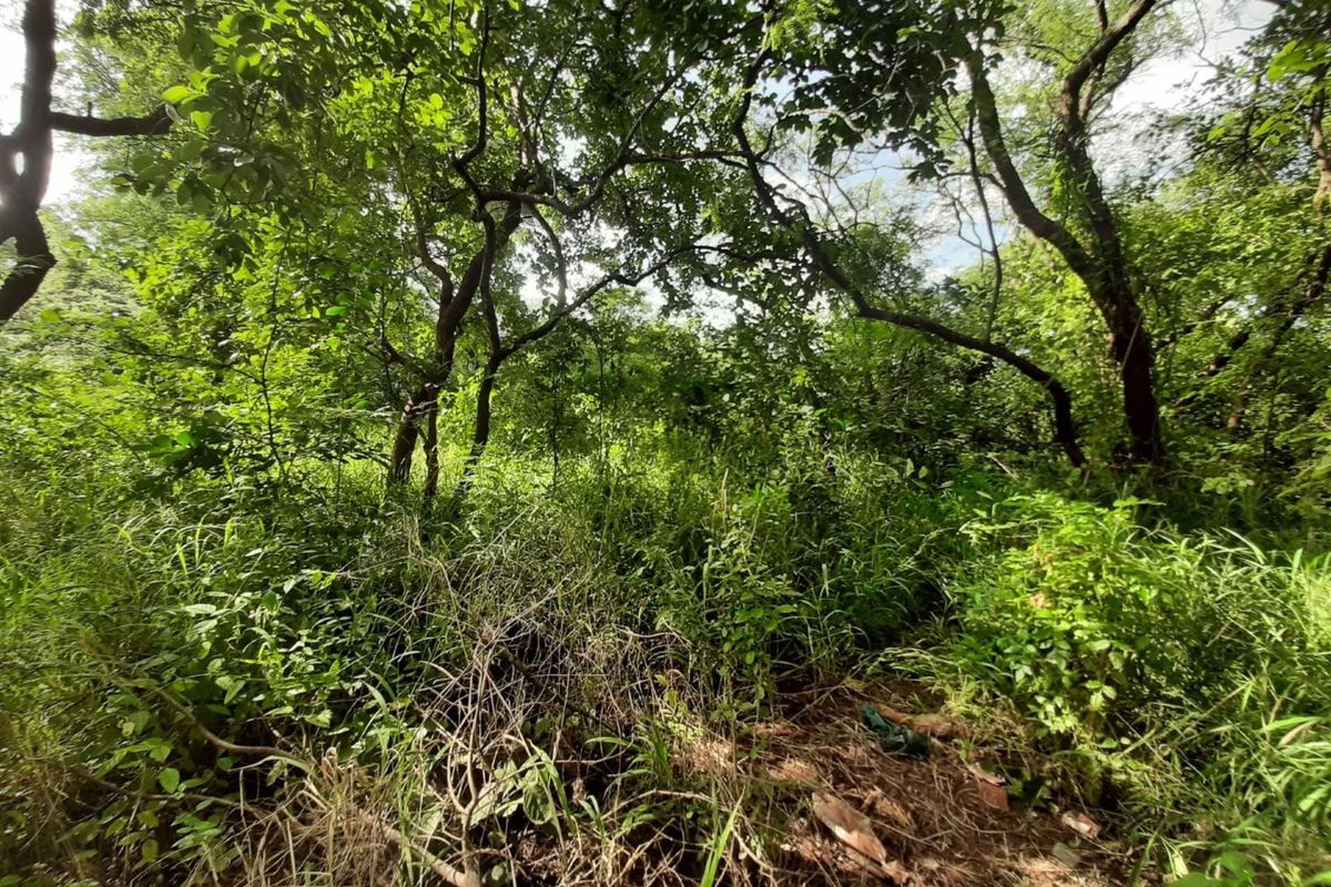 Stand for sale in Gravelotte - Photo 5