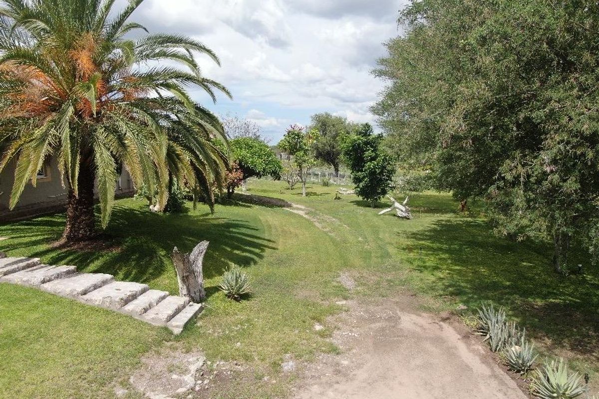 Exceptional Agricultural Estate with Off-Grid Solar Plant and All-Inclusive Goods - Photo 3