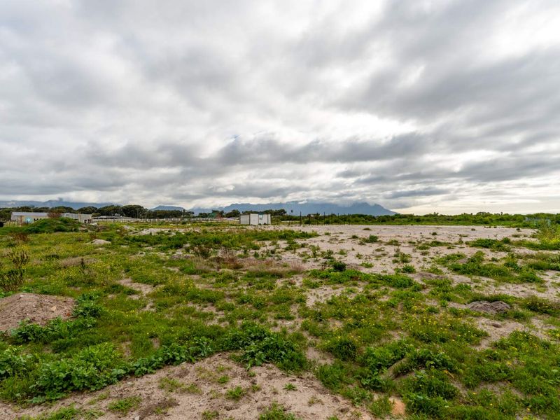 Approximately 1000sqm Vacant Land - Photo 6