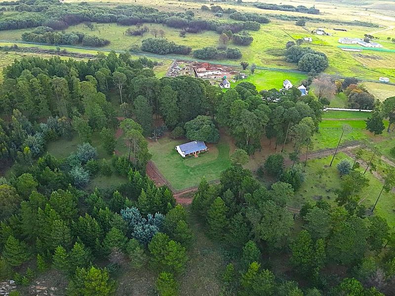 Country Living at its best - Photo 10