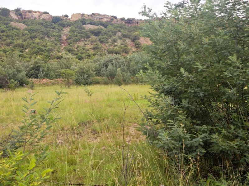 "The Perfect Blank Canvas: Create Your Mountain Haven! - Photo 4