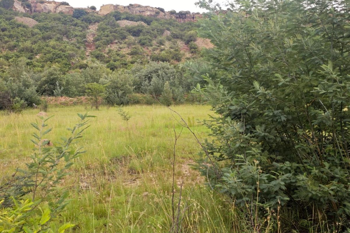 "The Perfect Blank Canvas: Create Your Mountain Haven! - Photo 4