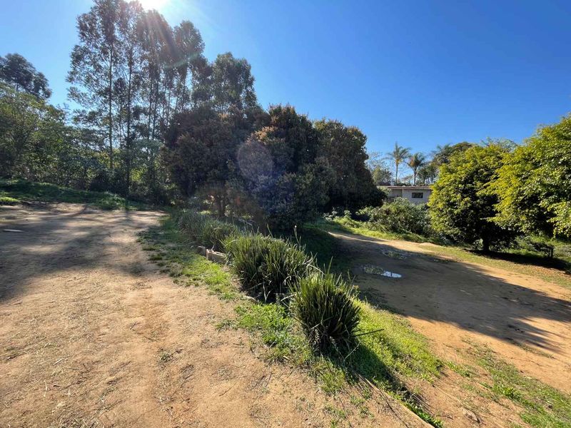 Blank Canvas 4 Hectares of Land in Quiet Cliffdale Area - Photo 7