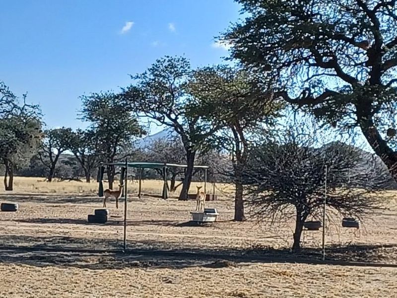 FOR SALE 📍OUT OF NATURE ESTATE (28KM FROM WHK VIA B1) - Photo 6