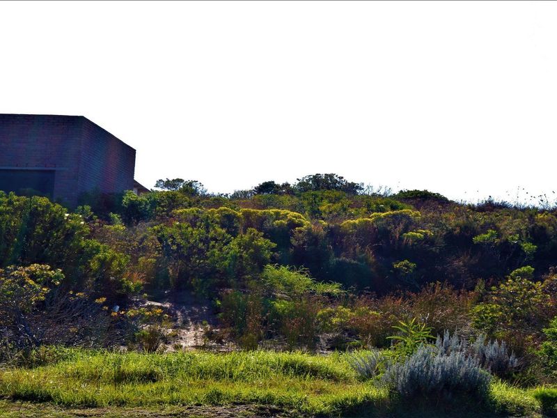 Spacious and Serene: Dana Bay's Premier Stand for Sale - Photo 9