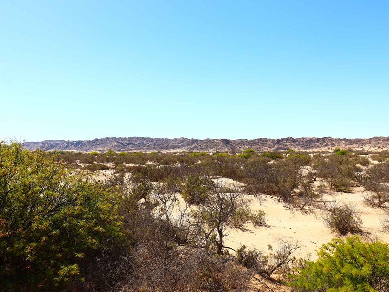 Smallholding For Sale, Swakopmund Namibia. - Photo 7