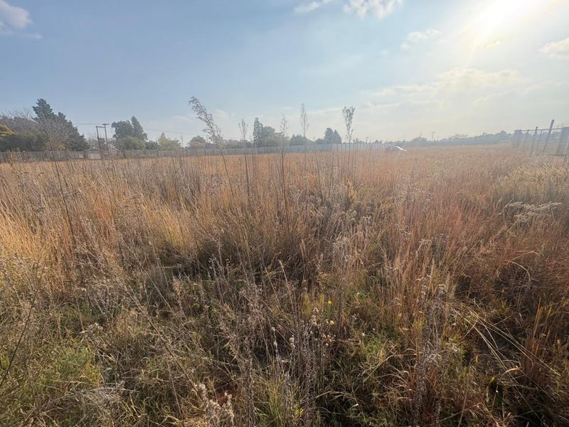 Vacant Land with Endless Potential - Photo 6