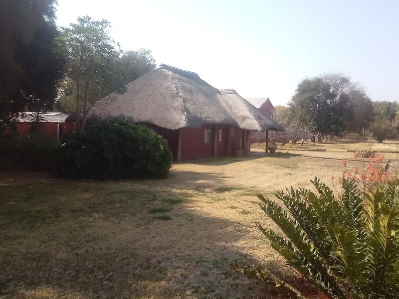 A view of the rear exterior of the property featuring a traditional thatch roof and a covered patio area set within a large garden.