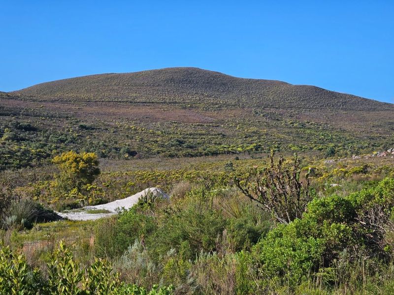 A Dream Come True - Photo 7