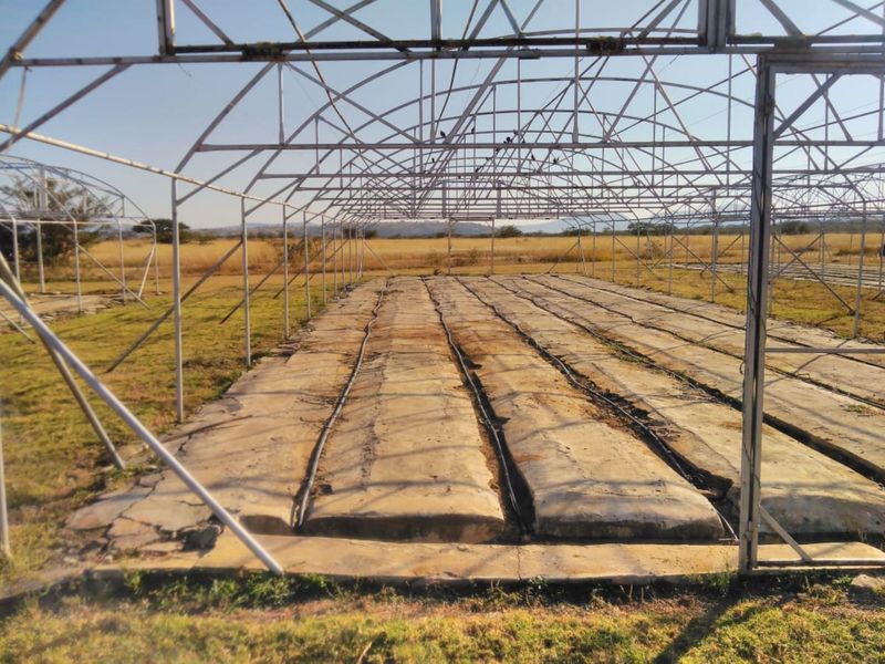 Agricultural Farm for sale - Photo 4