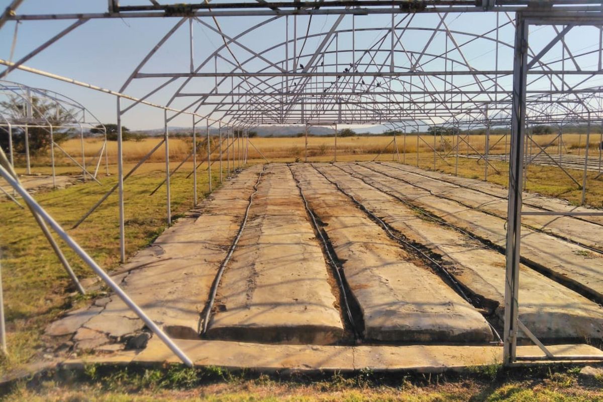 Agricultural Farm for sale - Photo 4