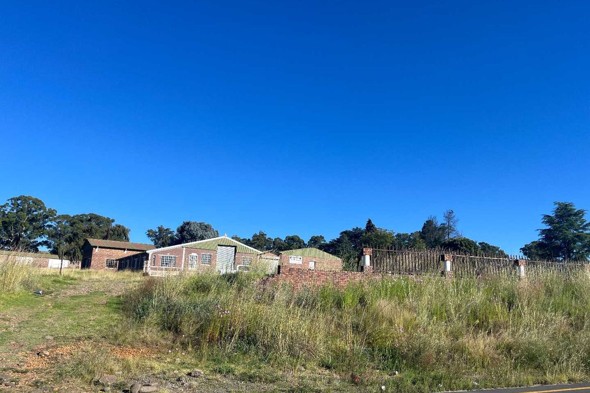 220 hectares of untapped promise - Photo 2