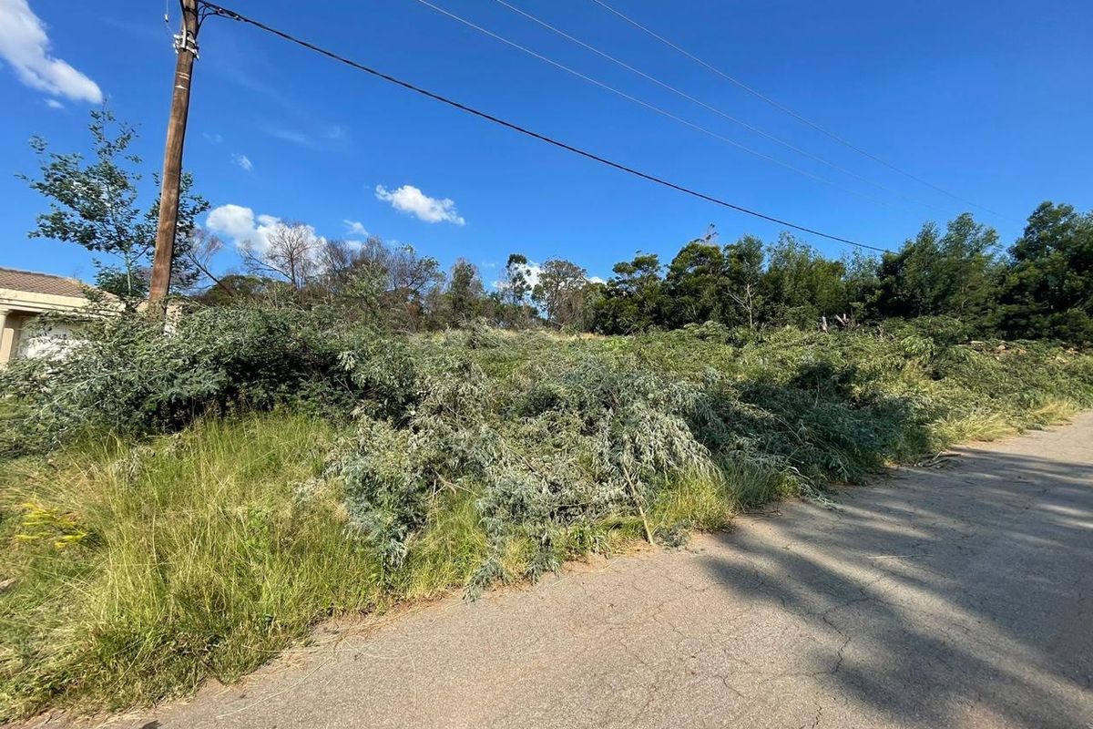 A street-level view of a vacant residential plot featuring overgrown vegetation, fallen tree debris, and existing utility infrastructure along the roadside.