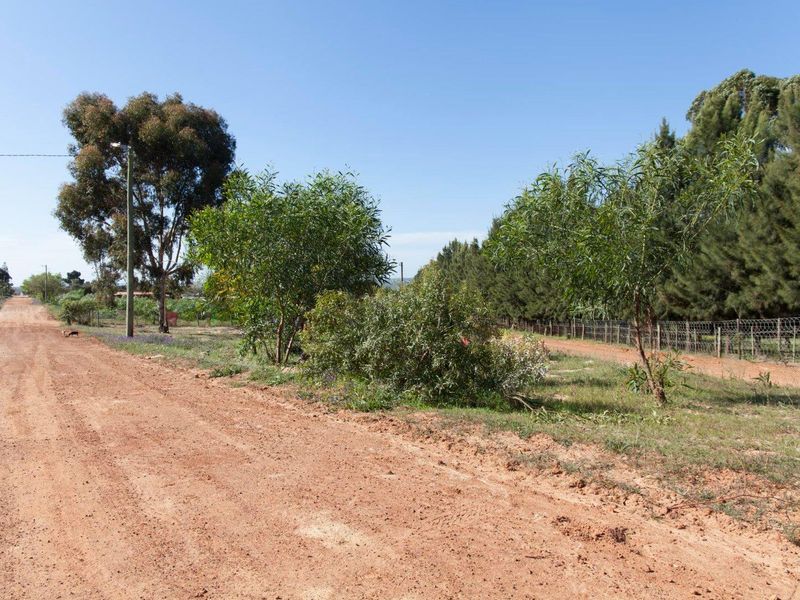Large Plot in the best part of Chatsworth - R350 000 - Photo 6