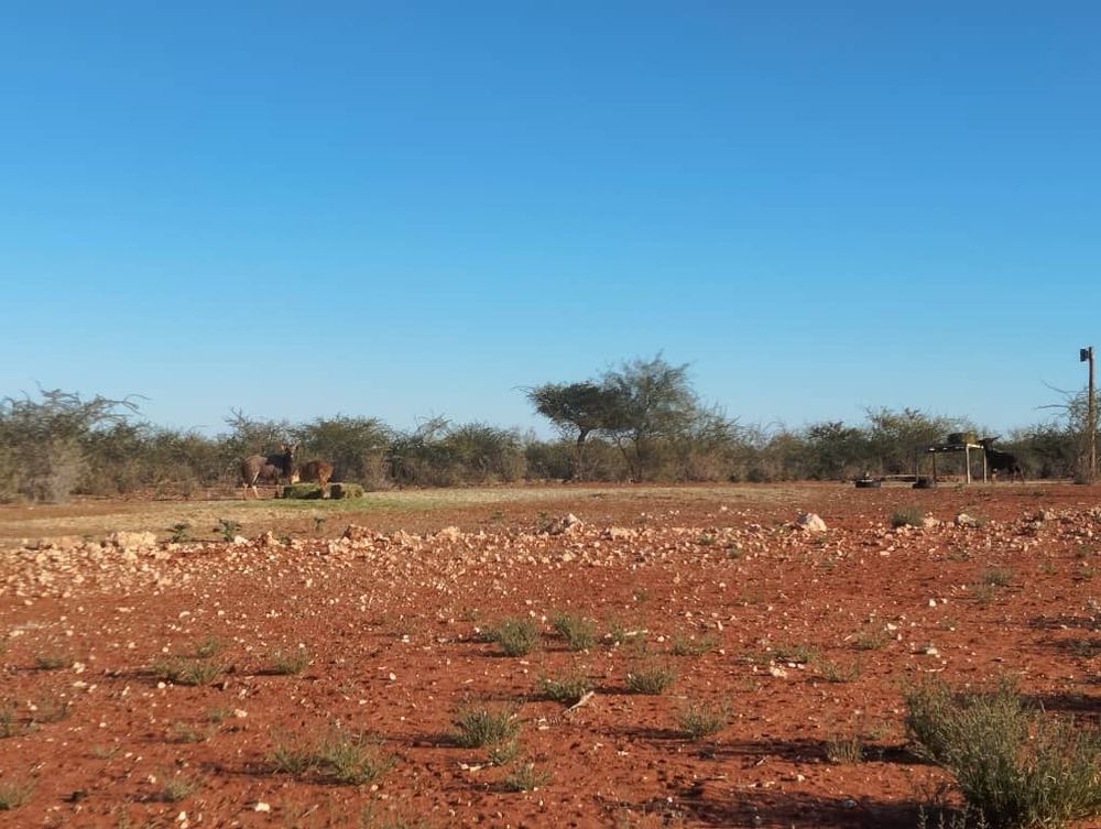 overview of farm land