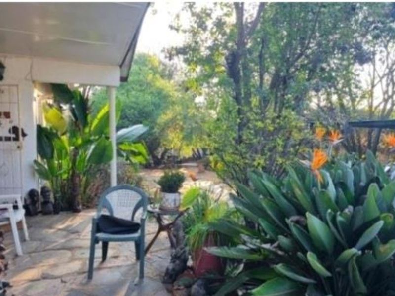 A covered stone-paved patio area overlooking a lush, established garden with mature trees and greenery.