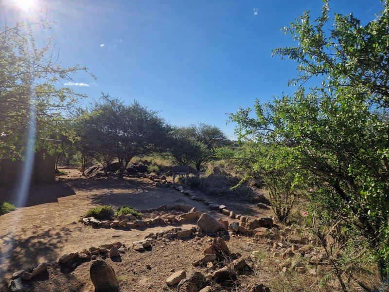 A natural, rustic garden area featuring indigenous trees and rock-lined pathways, characteristic of a bushveld lodge setting.