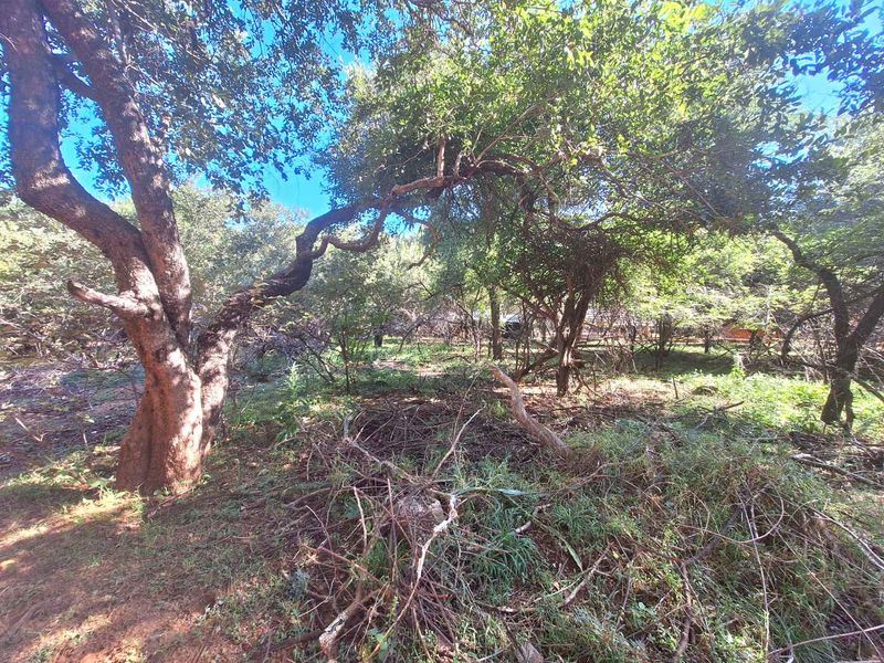 Prime 800m2 Plot in Leeupoort - Tranquil Retreat - Photo 2