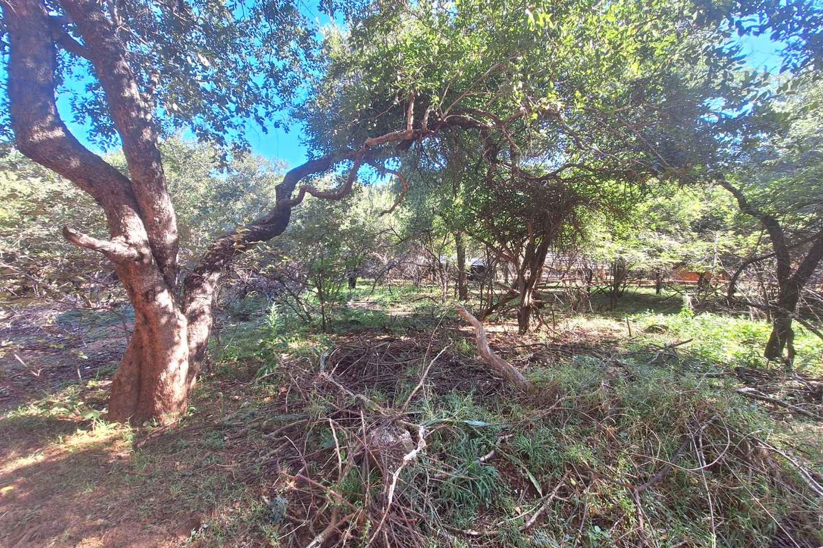 Prime 800m2 Plot in Leeupoort - Tranquil Retreat - Photo 2