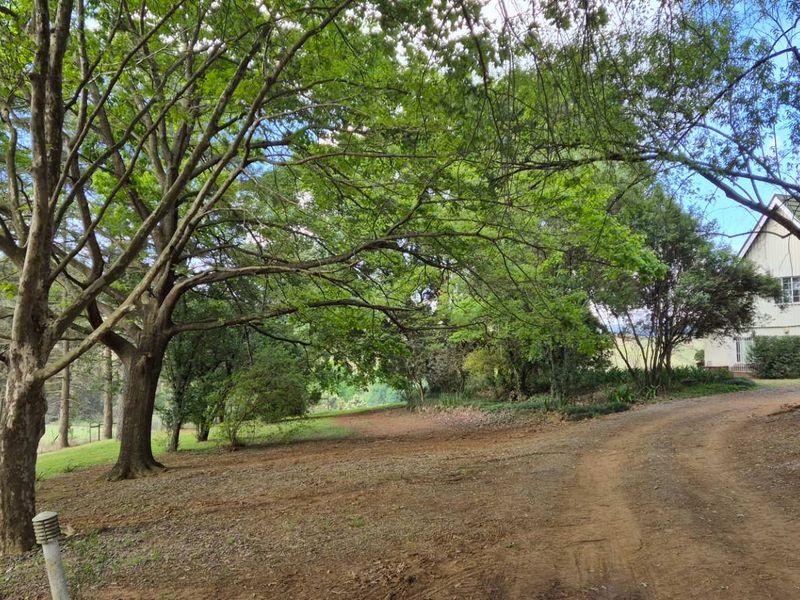 A scenic view of the property's front approach, featuring a gravel driveway surrounded by mature trees and a glimpse of the main house structure.