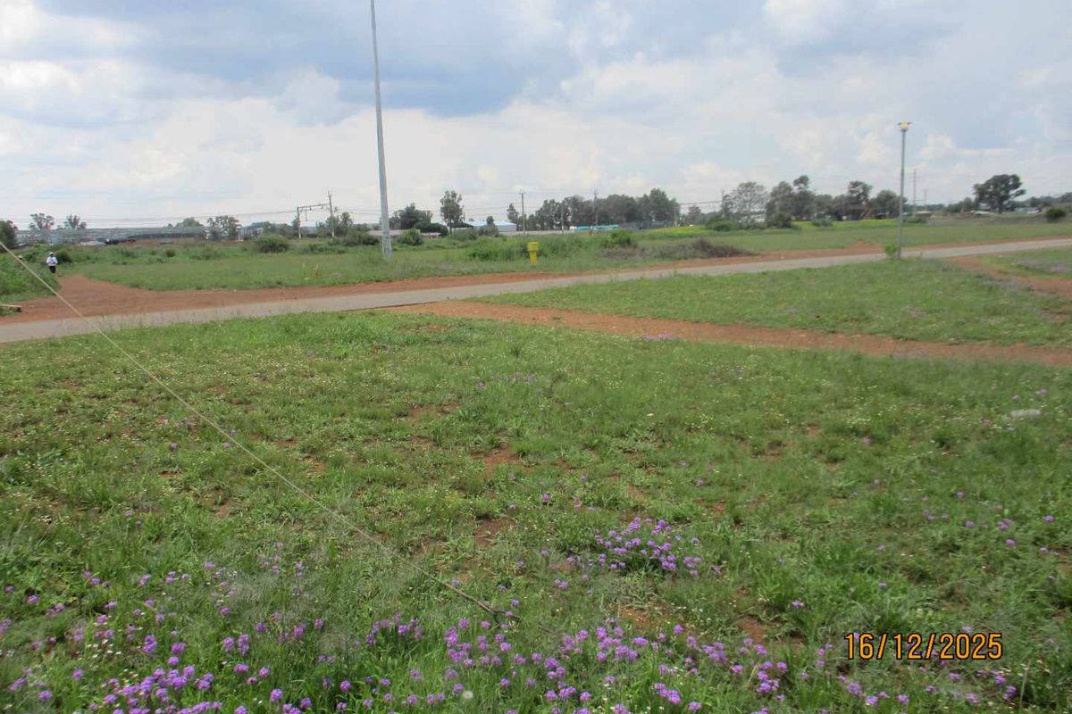 Enjoy the tranquility and peace of Henley - Photo 2