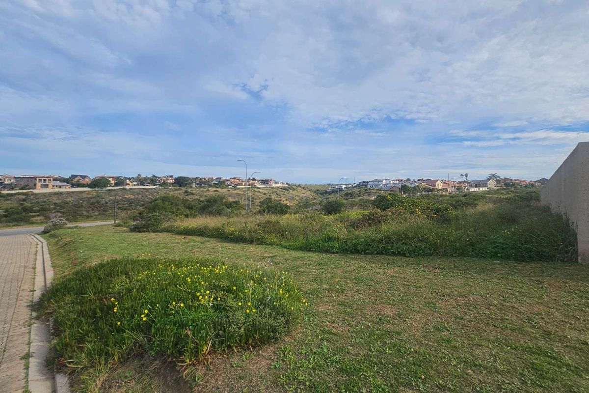 A wide-angle view of a vacant residential plot featuring natural grass landscaping and a paved verge, overlooking the surrounding neighborhood.