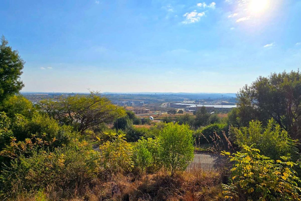 A scenic elevated view overlooking the surrounding landscape and neighborhood, featuring mature trees and natural vegetation.