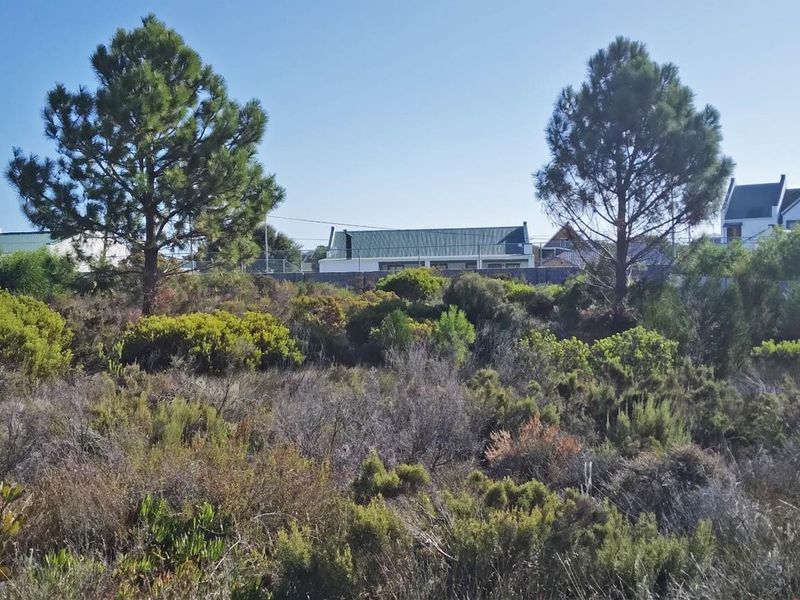 Level Stand, Lagoon Nearby, Lifestyle Sorted. - Photo 7