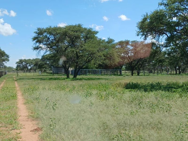 Beautiful Farm for sale in Namibia - Photo 3